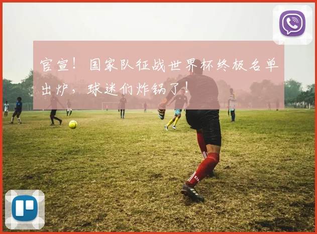 官宣！国家队征战世界杯终极名单出炉，球迷们炸锅了！